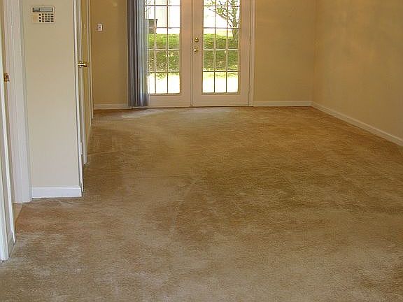 3rd image of 332 Cabaret Ct
