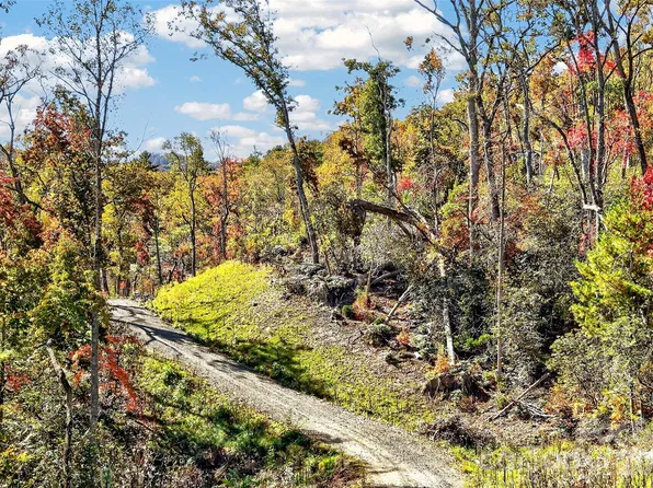 Swiss Pine Lake Drive 117, Spruce Pine, NC 28777