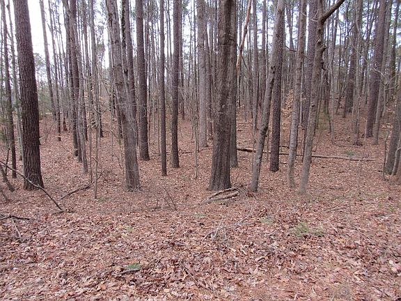 2nd image of 79 Twin Oaks Ln