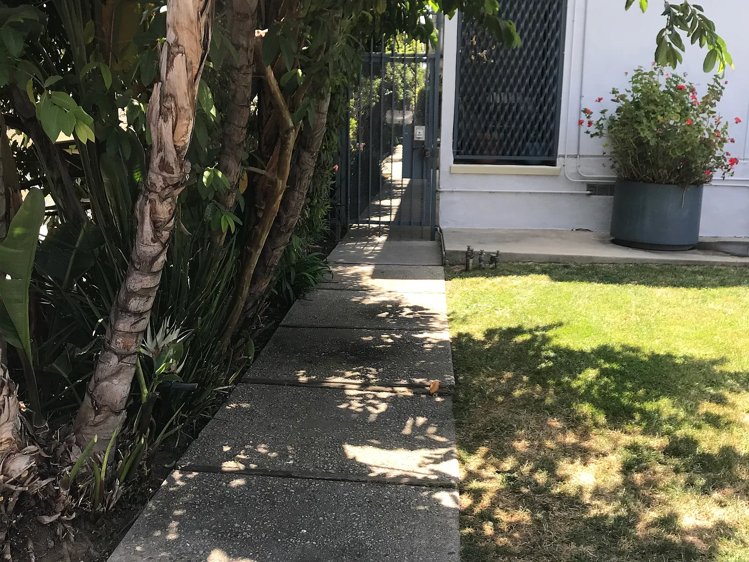 1 bed, 675 sqft, $2,075 — Photo 2