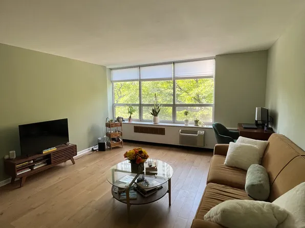70 W Burton Pl APT 408, Chicago, IL 60610