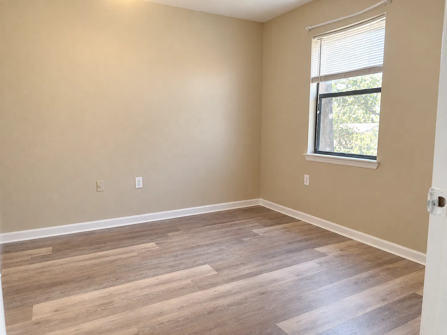 2 bed, 700 sqft, $800 — Photo 3