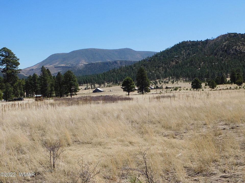 2269 Cr, Nutrioso, AZ 85932 Zillow