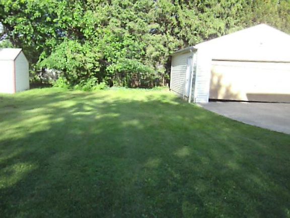 back yard