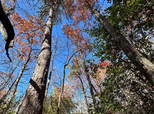 3 Oriole Rd #4, Brevard, NC 28712