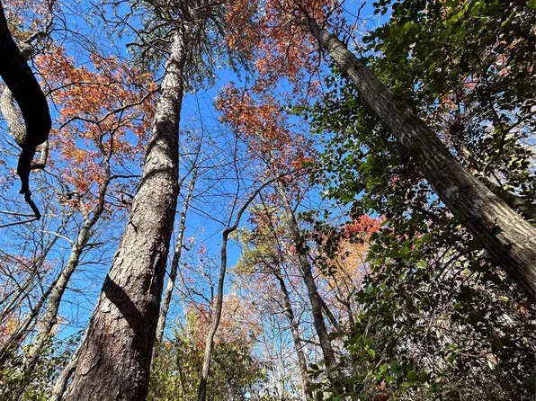 3 Oriole Rd #4, Brevard, NC 28712