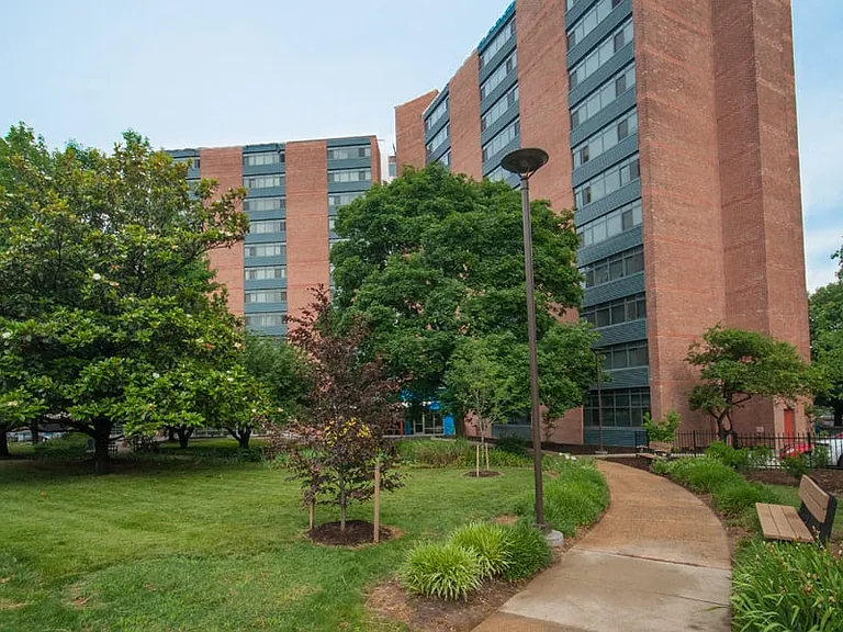 Enjoy Green Space Outdoors