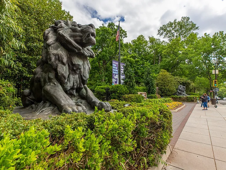 Lion Statue at National Zoo