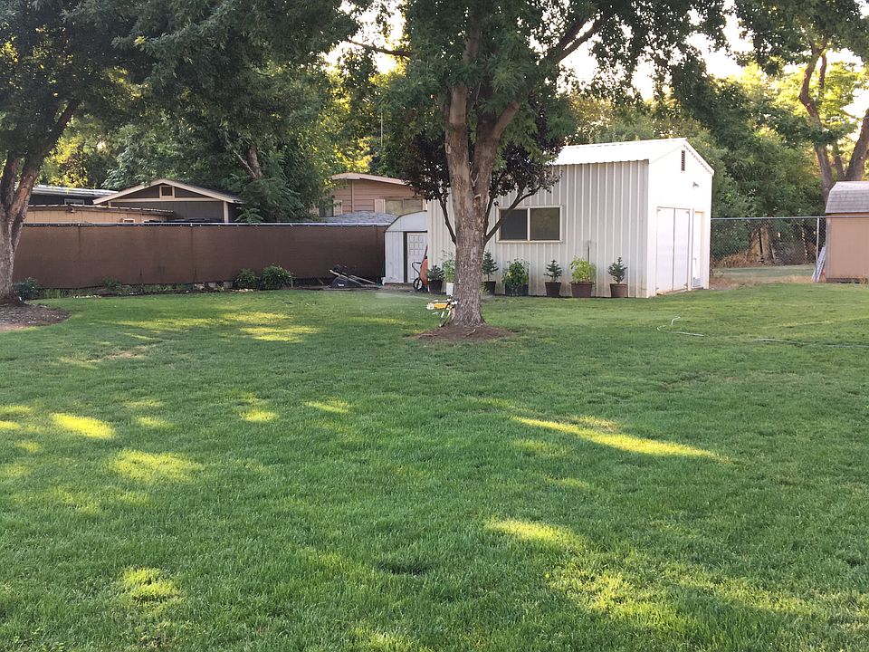 Back yard lots of shade