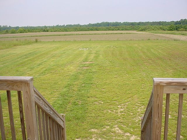 Back yard