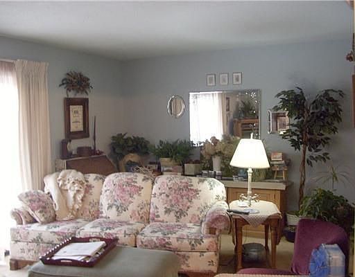 Spacious living room with lots of natural light!