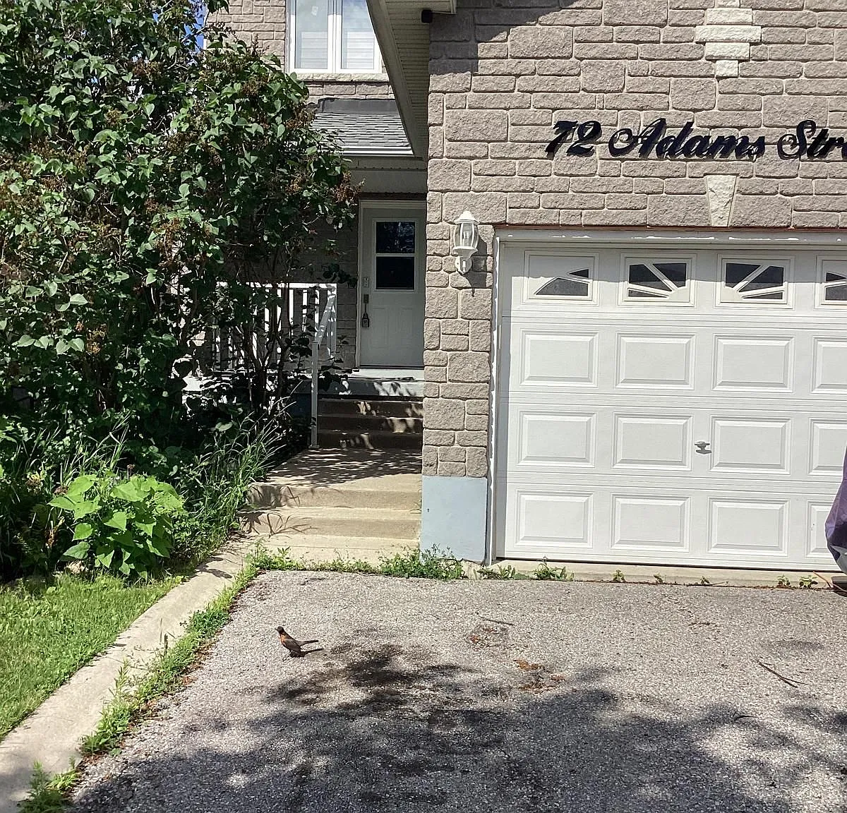 3 bed, $2,750 — Photo 1