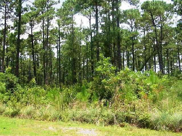 1st image of 105 Whispering Oaks Ln