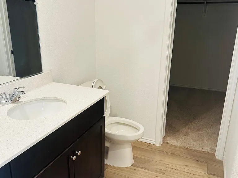 Bathroom- Master Bedroom