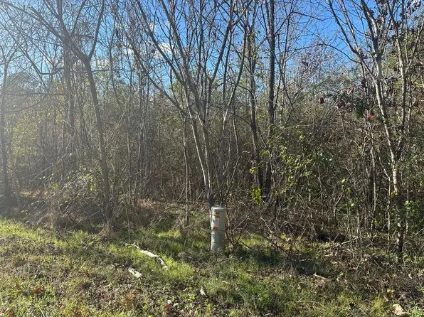 0 Mount Carmel Rd, Decatur, TN 37322