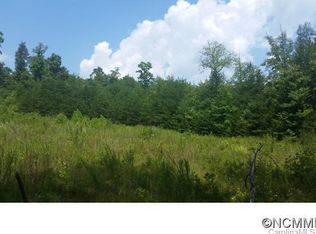 TRACT 3 Bat Cave Rd, Old Fort, NC 28762