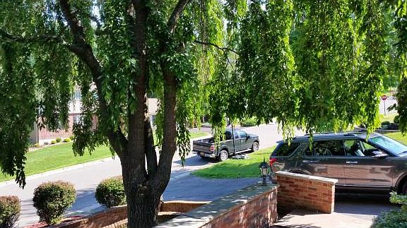 4th image of 3120 Cornell Ave