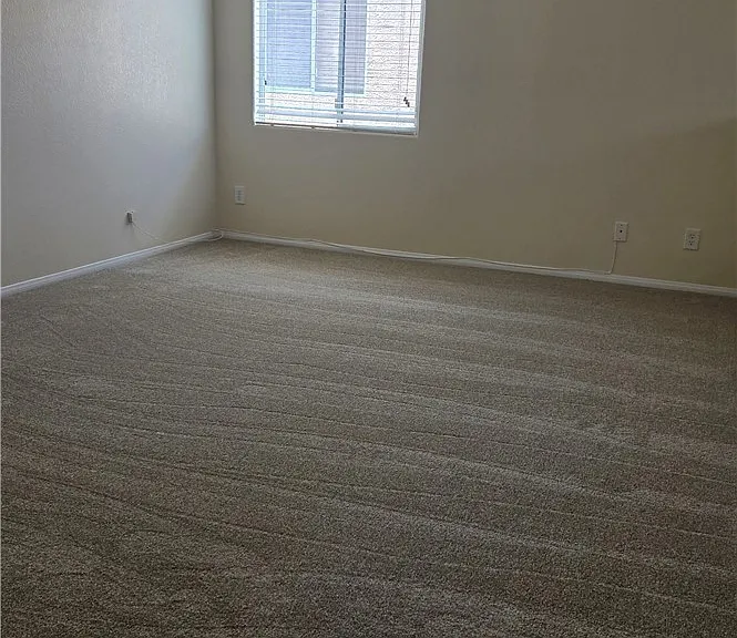 9031 Spring Star Ct — Photo 11