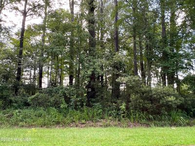 124 Colony Drive, Edenton, NC, 27932