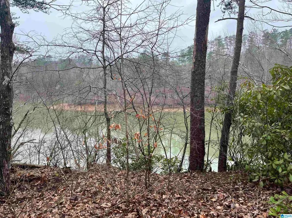 LOT 36 Highland Shores Dr, Jasper, AL 35503