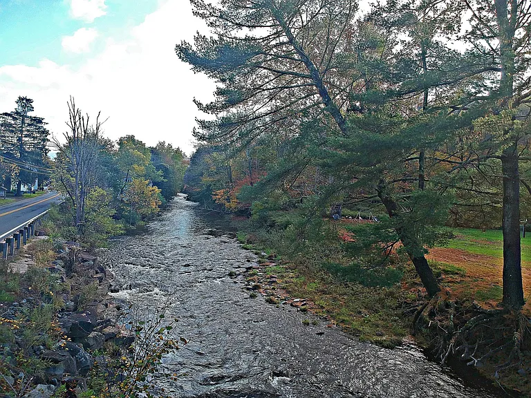 View From Rear Of Home