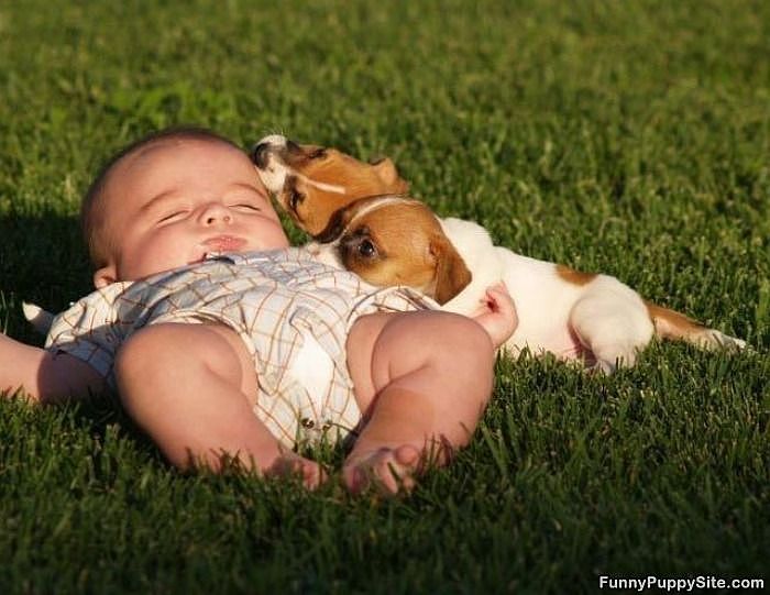 PET FRIENDLY