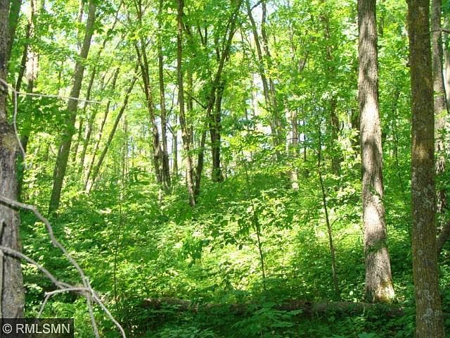 2nd image of Tbd Rabbit Foot Lane Rabbit Lake Twp