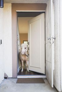 2321 Pima Ln, Ventura, CA, 93001