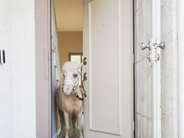 2321 Pima Ln, Ventura, CA 93001