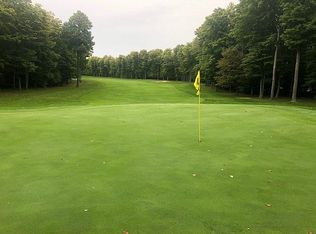 1334 Walkabout Ln, Harbor Springs, MI 49740