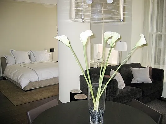 Rented by Stribling | media 68