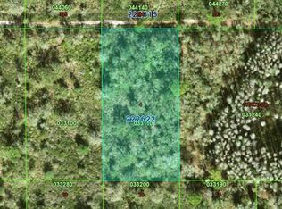 Inaccessible Tract, Kathleen, FL 33849