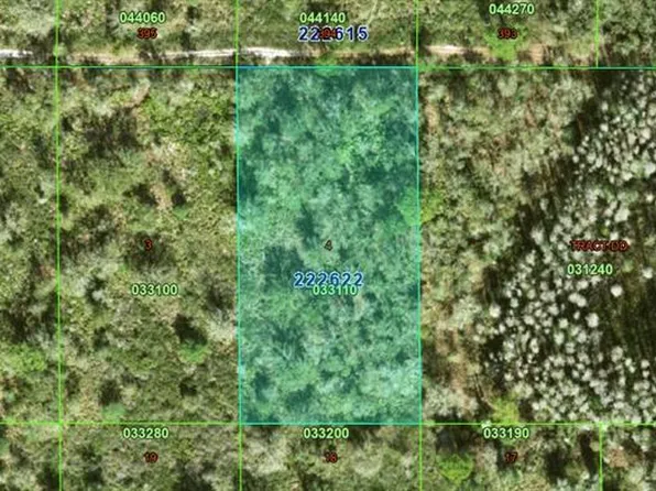 Inaccessible Tract, Kathleen, FL 33849