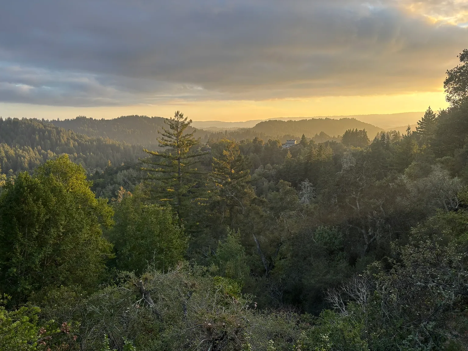 Santa Cruz Hwy, Los Gatos — Photo 2