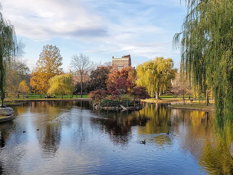 Take a stroll around the oldest park in America, Boston Commons