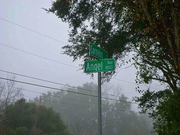 3rd image of 1825 Angel Ave