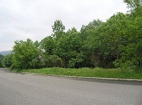 2nd image of 21 Coventry Rd