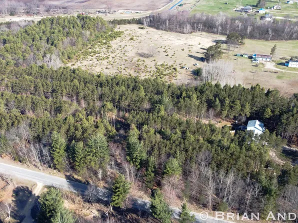 E 124th St, Grant, MI 49327