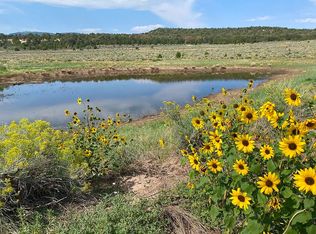 Ladder Canyon Rnch #6, Glade Park, CO 81523