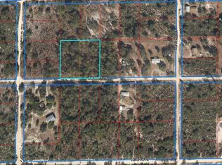 10051 NE 88th Ln, Bronson, FL 32621