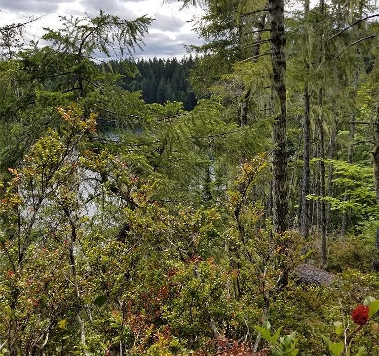 1st image of 0 N Kokanee Park Ct