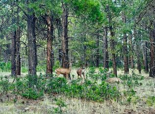 1523 West View Road, Pagosa Springs, CO 81147
