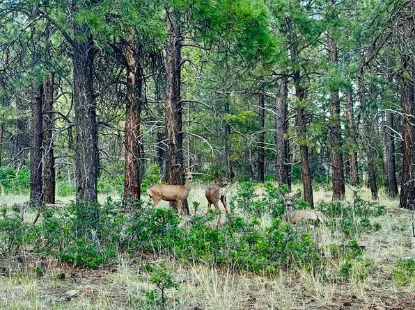 1523 West View Road, Pagosa Springs, CO 81147
