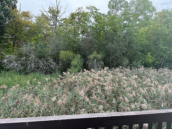 5th image of 252 Albion St APT 15