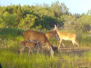 355 Bison Rd, Eden, TX 76837