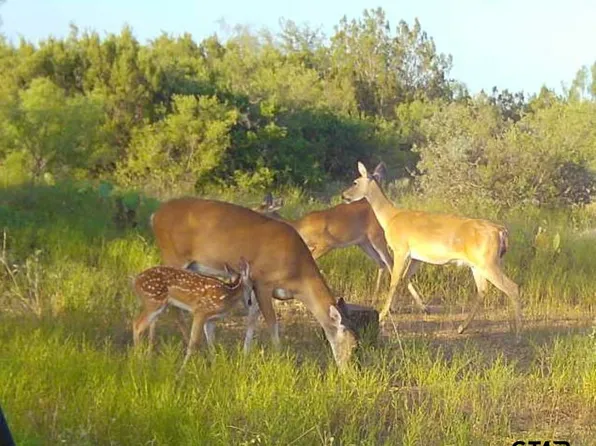 355 Bison Rd, Eden, TX 76837