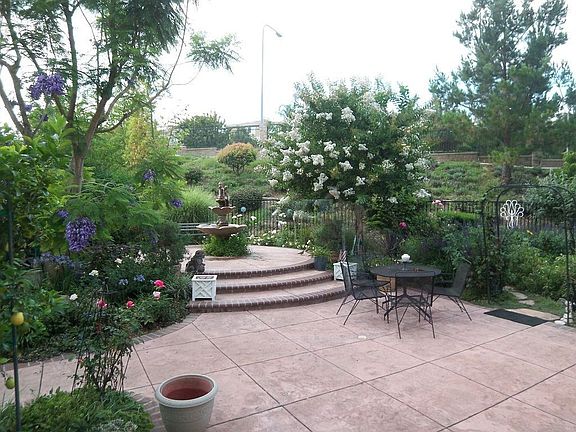 Large Backyard and Patio