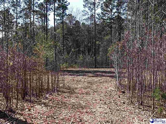 4th image of Tracts 1 & 2 Snow Hill Rd