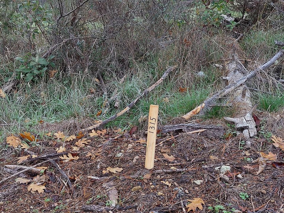 1st image of 1315 Green Valley Dr