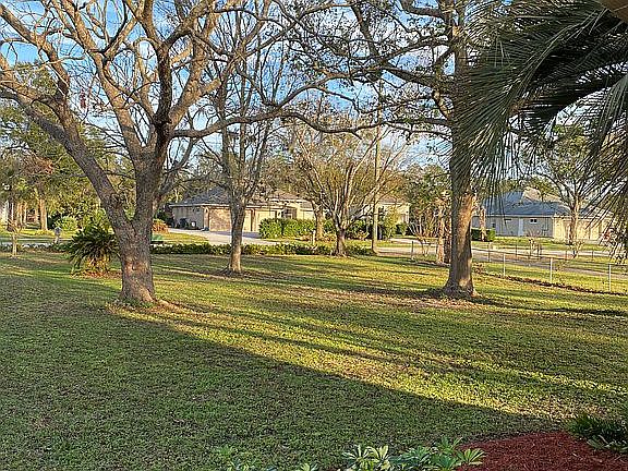 Front Yard